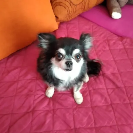 Chez Cathy 民宿 波讷地区圣朱利安