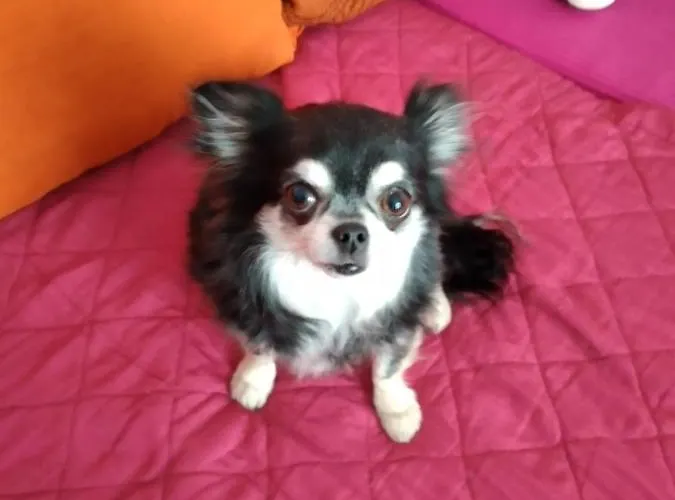 Chez Cathy Privat bolig Saint-Julien-en-Born