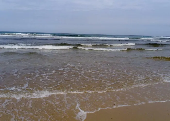 Privat bolig Chez Cathy *